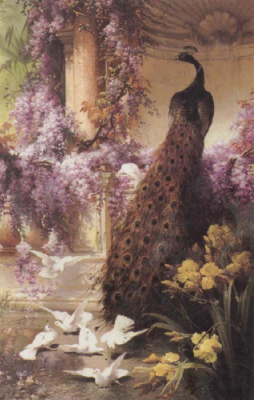 Eugene Bidau A Peacock and Doves in a Garden Sweden oil painting art